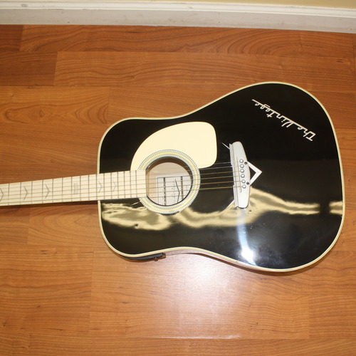 Esteban Acoustic Electric Limited Edition Vintage Guitar